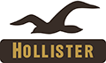 Hollister Co