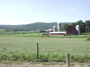 Photo of Cincinnatus, New York