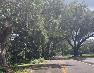 Photo of Earleton, Florida