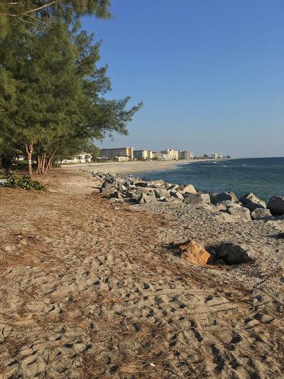 Photo of Venice, Florida