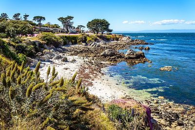 Photo of Pine Grove, California