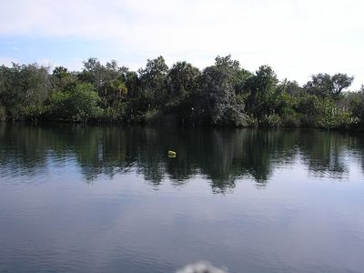 Photo of Salt Springs, Florida